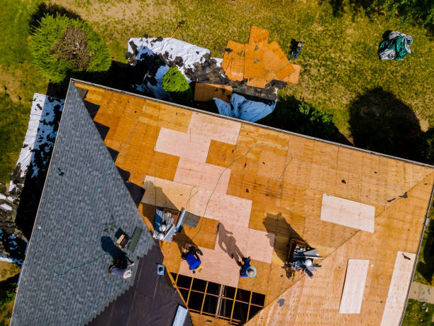 Best Metal Roofing Contractor  in Freer, TX