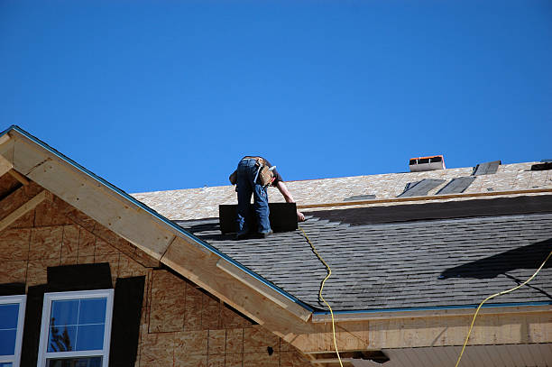 Best Roof Gutter Cleaning  in Freer, TX
