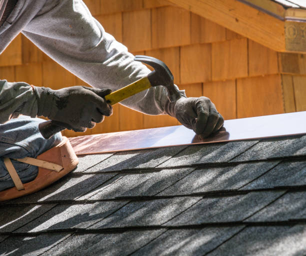 Best Roof Gutter Cleaning  in Freer, TX